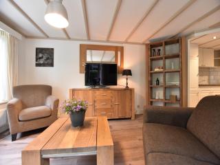 Chalet in Veluwe near Sauna Drôme, cleaning included - Putten - 9