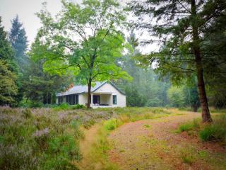 Holiday home in Maarheeze with garden, cleaning included - Maarheeze - 3