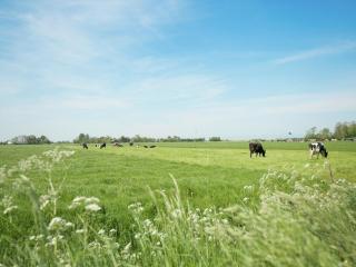 Idyllic Rural Home with Bikes, cleaning included - - 1