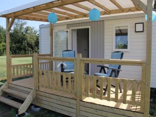 Chalet in Friesland near Alde Feanen, cleaning included - De Veenhoop - 5