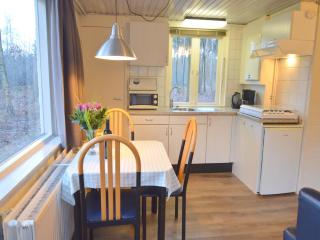 Holiday Home in Stramproy with Garden, cleaning included - Stramproy - 4