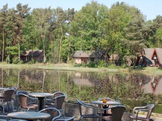 detached bungalow in a nature-filled park, cleaning included - Stramproy - 6