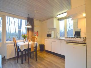 detached bungalow in a nature-filled park, cleaning included - Stramproy - 8
