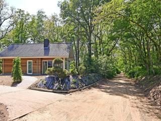 Holiday Home in Reutum with Forest Views, cleaning included - Beekdorp - 3