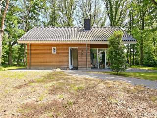 Holiday Home in Reutum with Forest Views, cleaning included - Beekdorp - 4