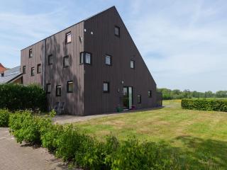 holiday home with private terrace, cleaning included - Langweer - 6