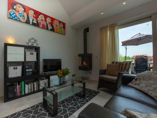 holiday home with private terrace, cleaning included - Langweer - 0