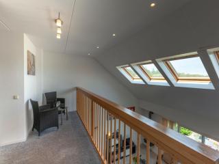 holiday home with private terrace, cleaning included - Langweer - 1