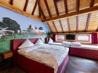 Forest House in Friesland with Sauna, cleaning included - Schuilenburg - 2
