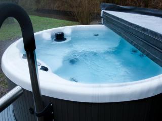 Holiday home with sauna & outdoor spa in Earnewâld, cleaning included - Earnewâld - 0
