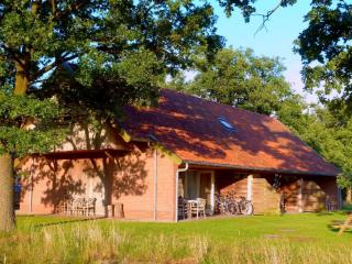Holiday Home in Geesteren with Roof Terrace,Garden Furniture - Geesteren - 0
