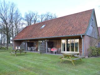Holiday Home in Geesteren with Roof Terrace,Garden Furniture - Geesteren - 3