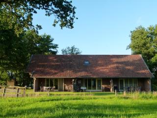 Holiday Home in Geesteren with Roof Terrace,Garden Furniture - Geesteren - 2