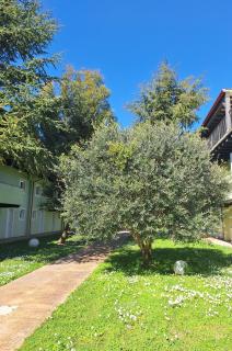 Residence Duna Rossa - Family Friendly - Duna Verde - 8