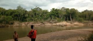 Instituto Ambiental Bugio Ruivo - 0