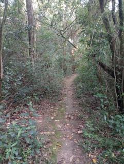 Instituto Ambiental Bugio Ruivo - Eldorado do Sul - 3