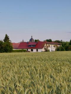 Ferienhaus Nebra "Zur Dorfkirche" - Nebra - 9