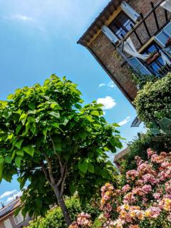 Casa Magnolia - Terricciola - 9
