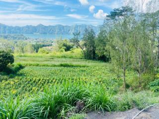Batur Exotic Villa - Kubupenlokan - 9