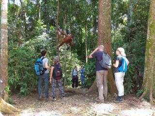 Jungle View Homestay & Guesthouse Only Stay Here Book Treking With Us - Bukit Lawang - 8