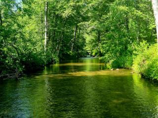 Green Meadows at Sky Ranch, 13 miles from Yosemite - Oakhurst - 5