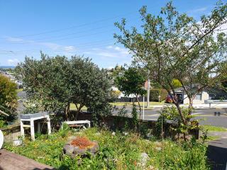 Otumoetai Shared Family Home - Sherwood Food Forest, New Zealand - Tauranga - 7