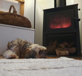 Otumoetai Shared Family Home - Sherwood Food Forest, New Zealand - 2