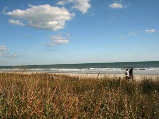 Cozy Beach Condo Pool Sm Dogs ok FREE Tickets D19 - Myrtle Beach - 1