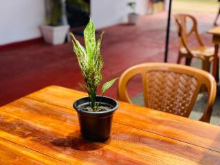 You Can Beach Resort Uppuveli - Trincomalee - 5