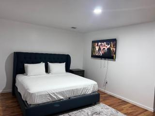 Immaculate Luxury 3KINGs Bed, 2 Bath - Newark - 3