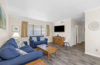 Nice Beach View 2BR Pool Sm Dogs ok FREE Tickets D0-1 - Myrtle Beach - 9