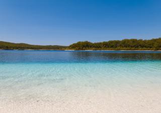 Sapphire Villa 535, Kingfisher Bay Resort, K'gari - Fraser Island - 8