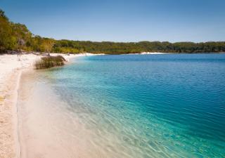Sapphire Villa 535, Kingfisher Bay Resort, K'gari - Fraser Island - 7