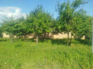 Gabala Home - Gabala - 4