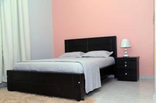 Hanso Furnished Apartments - Kampala - 4