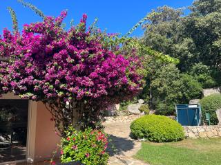 Casa Flamingo - Porto-Vecchio - 4
