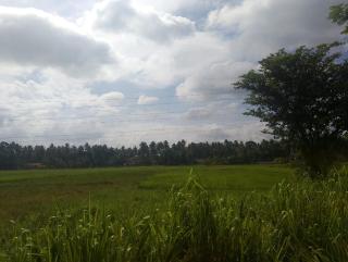 Sanda Diya Dahara - - 4