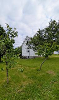 Dønhaug Gjestegard - 7