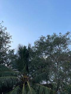 Kasi's Home Stay A6 - 0