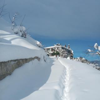 OLEG GORGILADZE - Batumi - 8