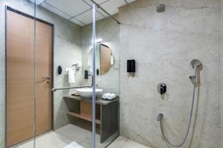 Gir Aatithya Clarks Inn - Sasan Gir - 1