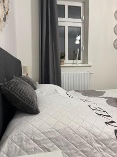 ElbStadtFlair Apartment - Torgau - 7