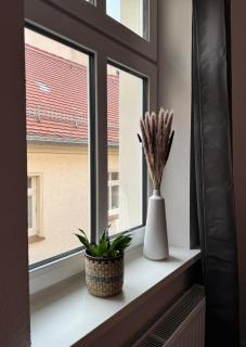 ElbStadtFlair Apartment - Torgau - 1