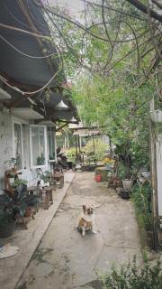 Chút An Yên Homestay - Ấp Ða Thiên - 8