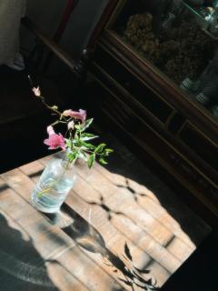 Chút An Yên Homestay - Ấp Ða Thiên - 5