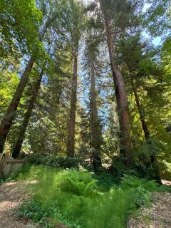 Casalarada - House by the Creek - Watsonville - 4
