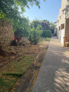 הכינרת מולי - Tiberias - 6