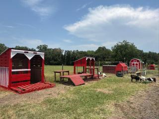 GEO Dome - Flatonia Glamping Retreat & RV Resort - Flatonia - 5