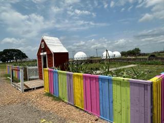 GEO Dome - Flatonia Glamping Retreat & RV Resort - Flatonia - 1