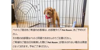 Seagaia Forest Cottages - Miyazaki - 9